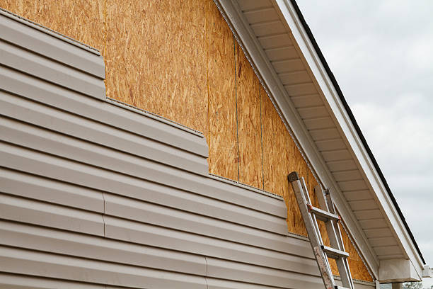 Professional Siding Inspection technician working in Dover, MA